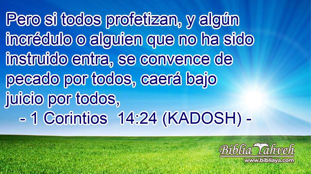  Pero si todos profetizan, y algún incrédulo o alguien que no ha sido instruido entra, se convence de pecado por todos, caerá bajo juicio por todos, 