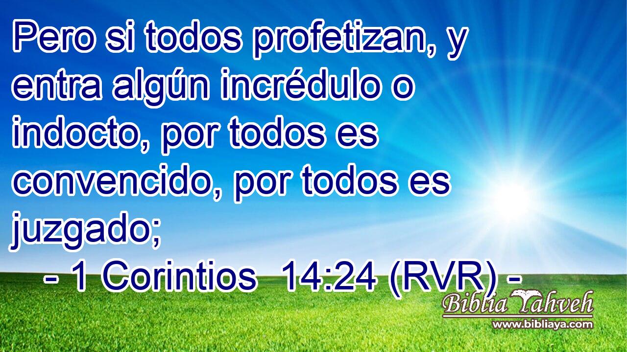 Pero si todos profetizan, y entra algún incrédulo o indocto, por todos es convencido, por todos es juzgado;