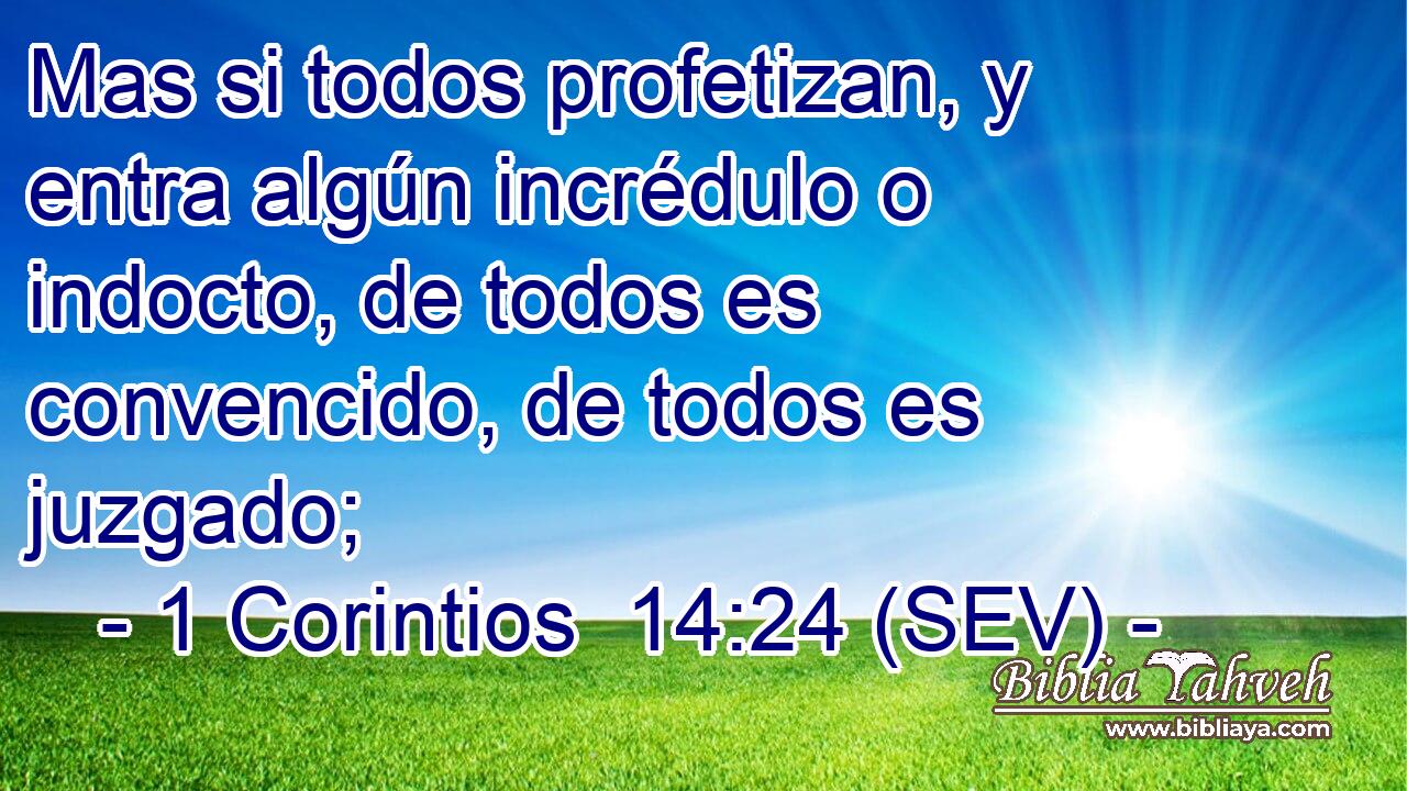 Mas si todos profetizan, y entra algún incrédulo o indocto, de todos es convencido, de todos es juzgado;