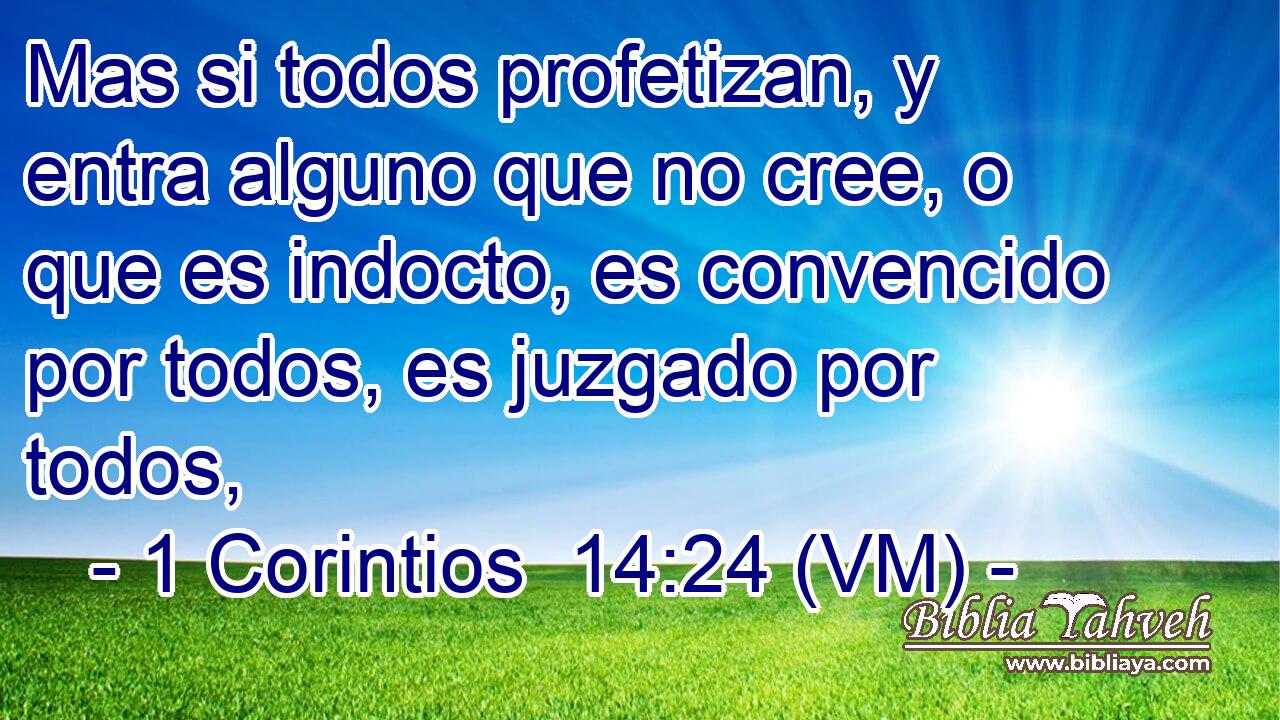  Mas si todos profetizan, y entra alguno que no cree, o que es indocto, es convencido por todos, es juzgado por todos, 