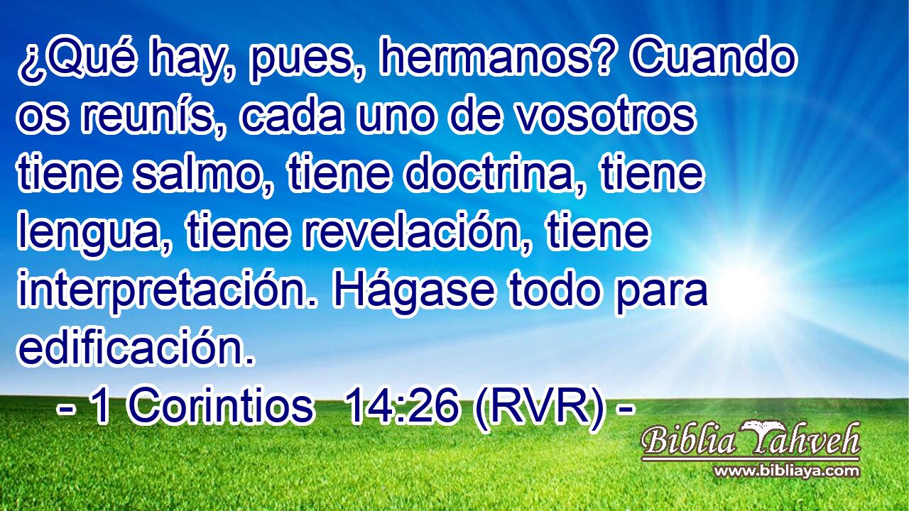 ¿Qué hay, pues, hermanos? Cuando os reunís, cada uno de vosotros tiene salmo, tiene doctrina, tiene lengua, tiene revelación, tiene interpretación. Hágase todo para edificación.