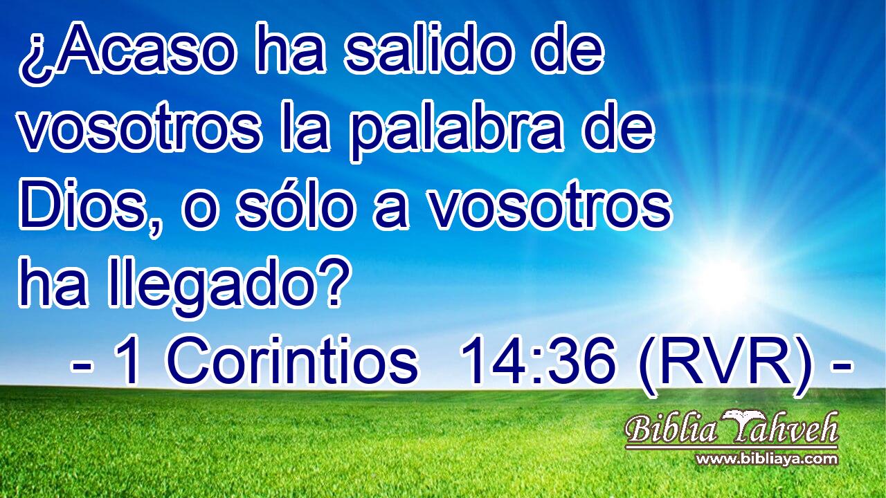 ¿Acaso ha salido de vosotros la palabra de Dios, o sólo a vosotros ha llegado?