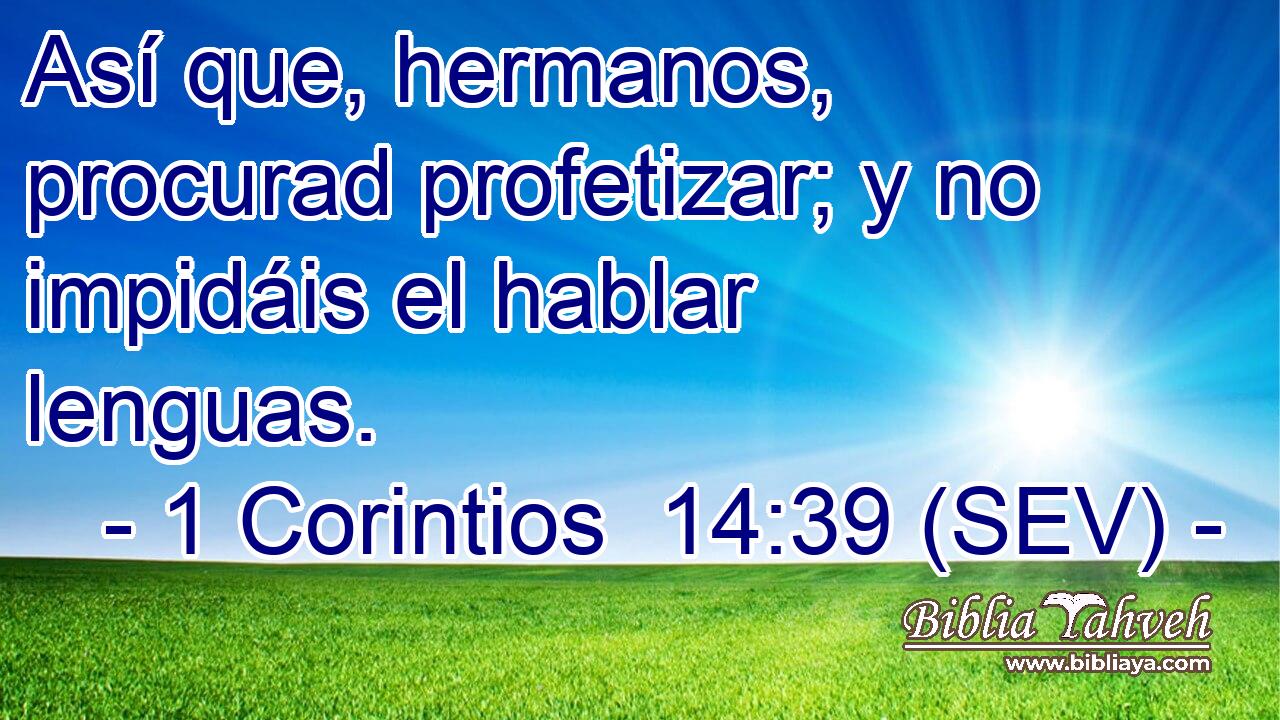 Así que, hermanos, procurad profetizar; y no impidáis el hablar lenguas.