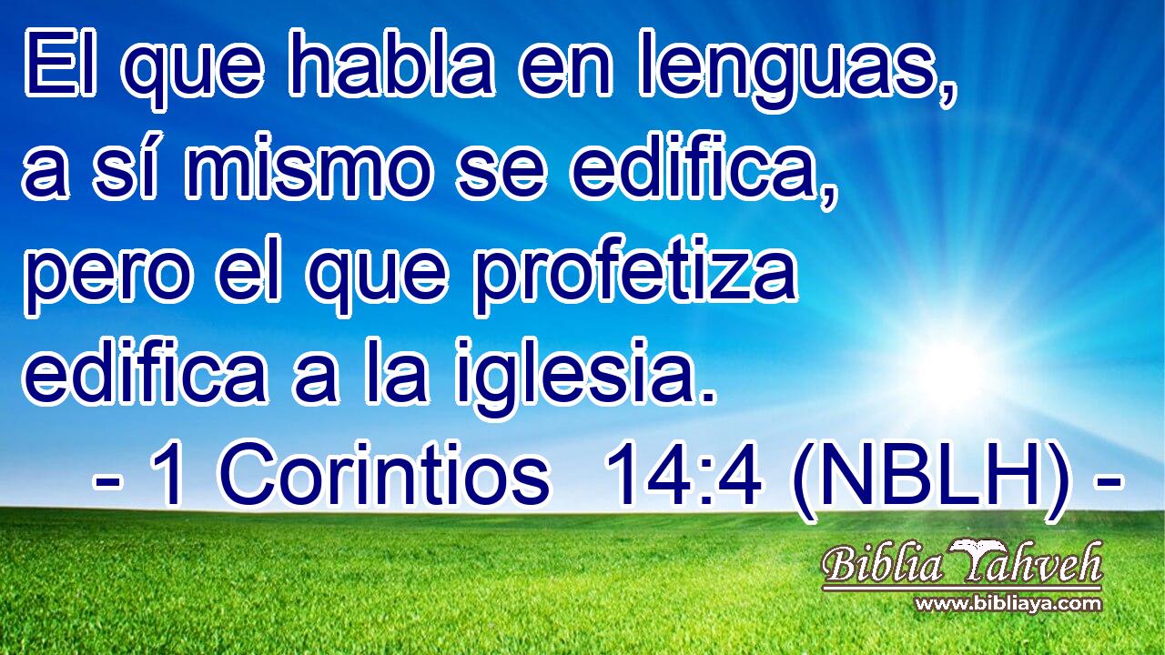  El que habla en lenguas, a sí mismo se edifica, pero el que profetiza edifica a la iglesia. 