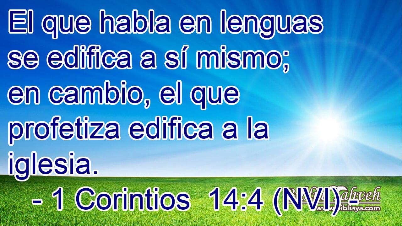  El que habla en lenguas se edifica a sí mismo; en cambio, el que profetiza edifica a la iglesia. 