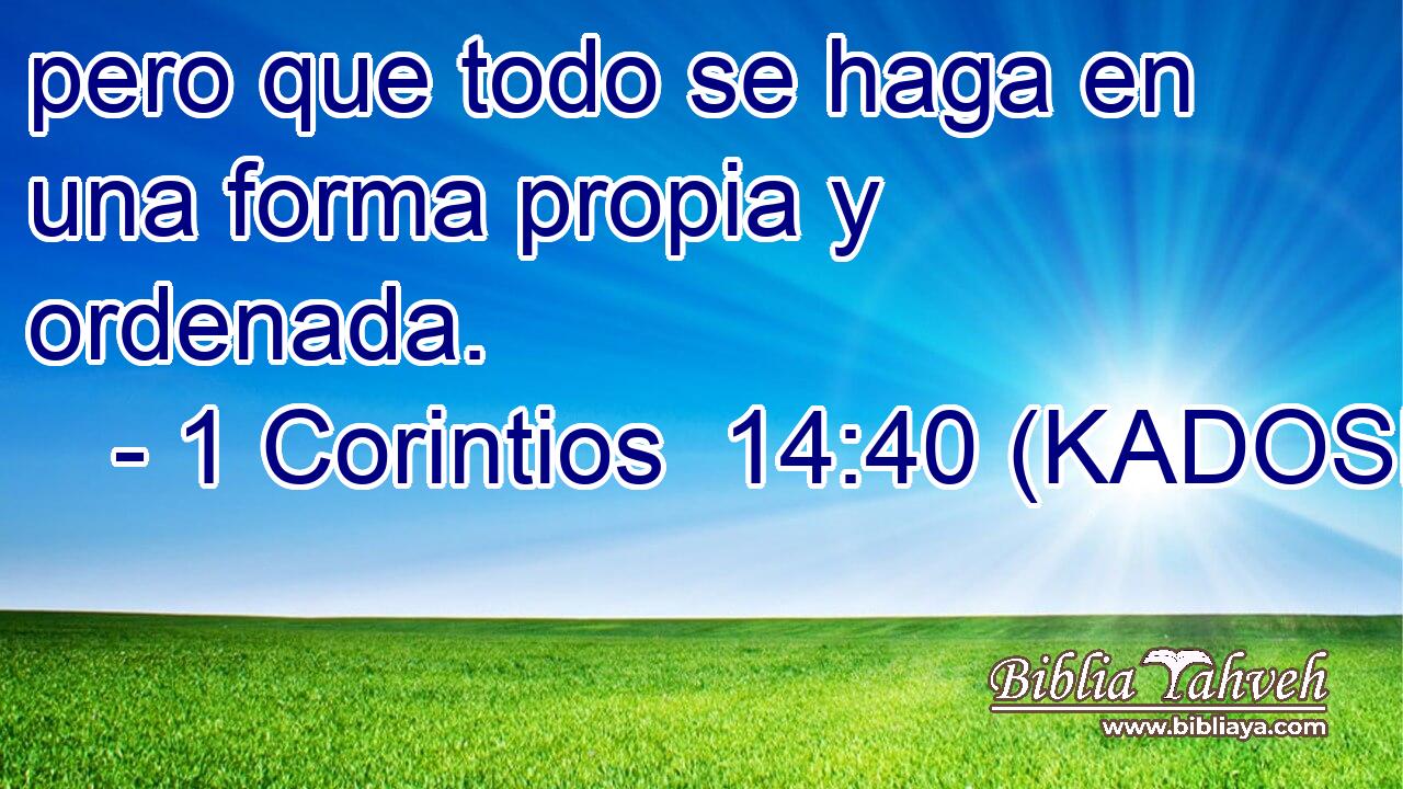 pero que todo se haga en una forma propia y ordenada. 