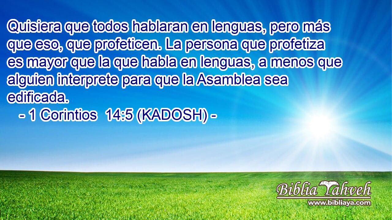  Quisiera que todos hablaran en lenguas, pero más que eso, que profeticen. La persona que profetiza es mayor que la que habla en lenguas, a menos que alguien interprete para que la Asamblea sea edificada. 
