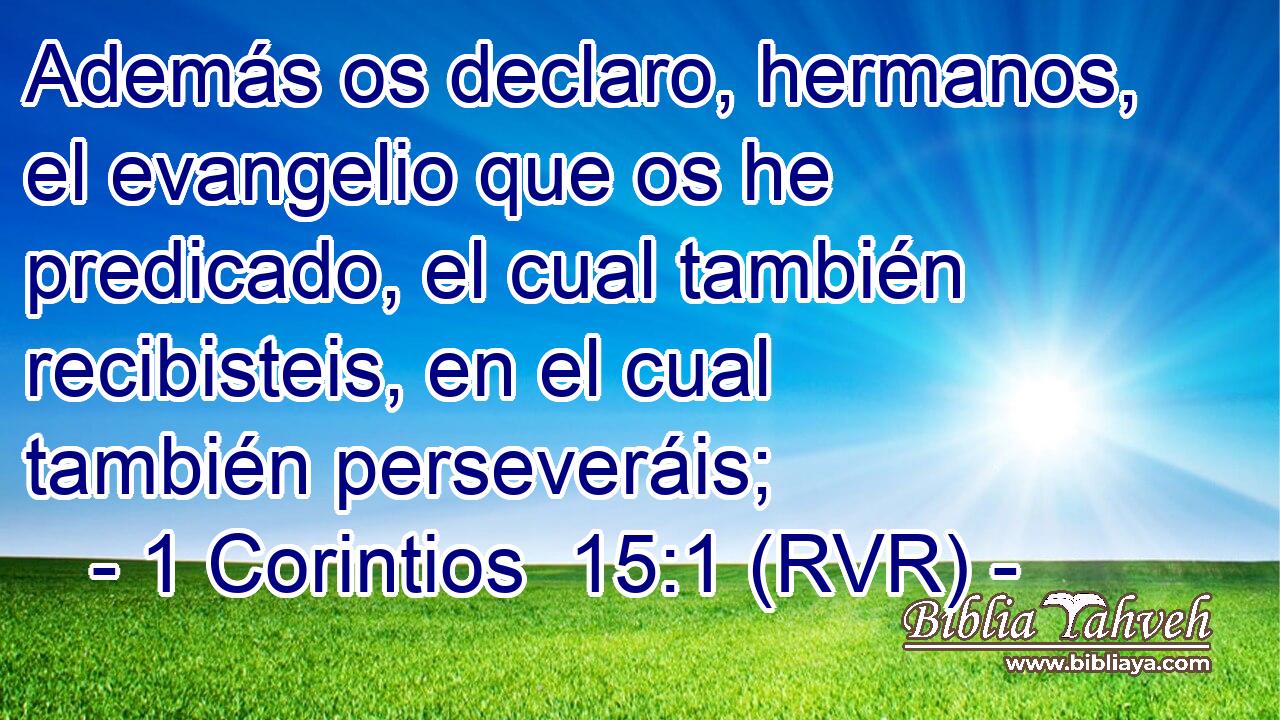 Además os declaro, hermanos, el evangelio que os he predicado, el cual también recibisteis, en el cual también perseveráis;