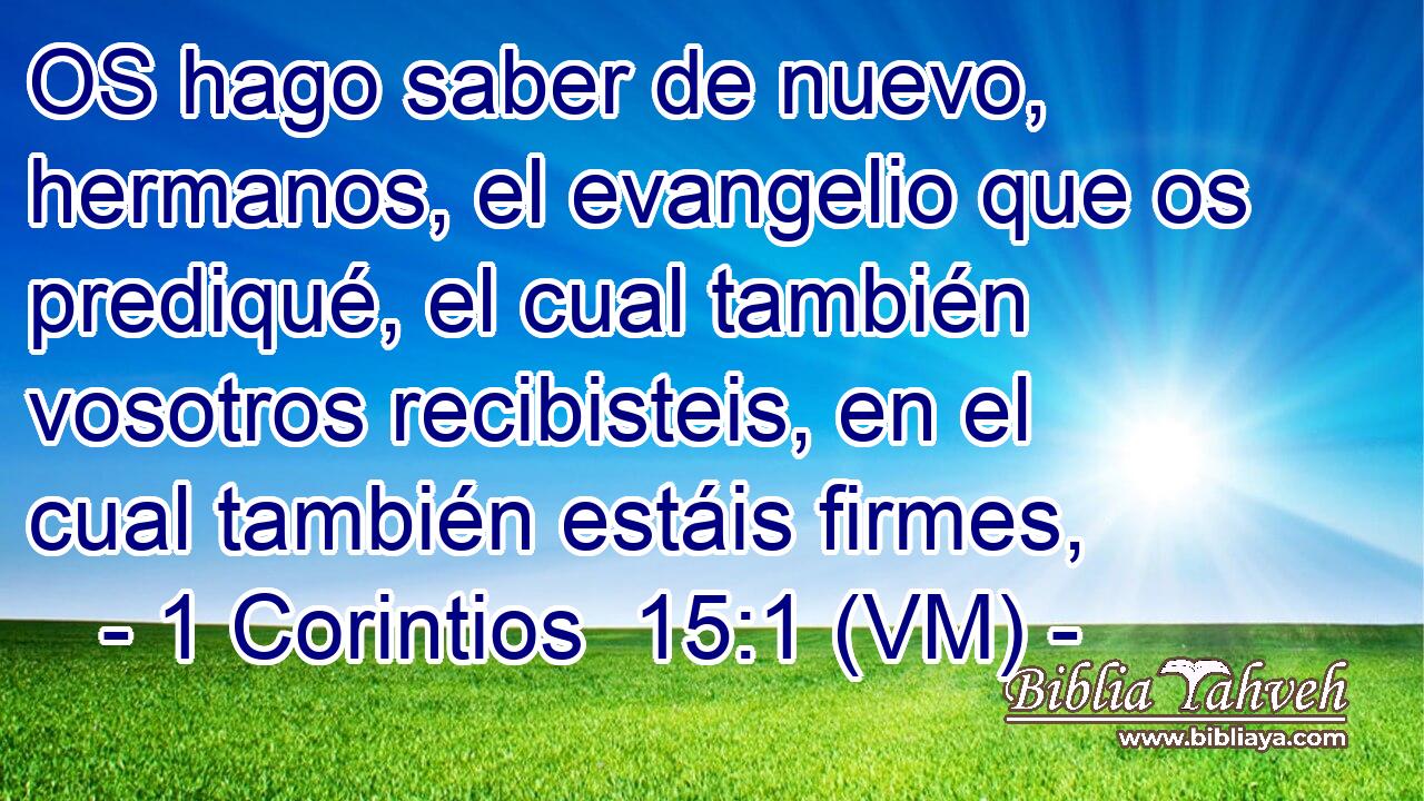  OS hago saber de nuevo, hermanos, el evangelio que os prediqué, el cual también vosotros recibisteis, en el cual también estáis firmes, 