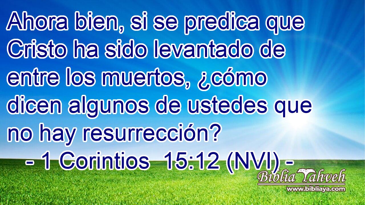  Ahora bien, si se predica que Cristo ha sido levantado de entre los muertos, ¿cómo dicen algunos de ustedes que no hay resurrección? 