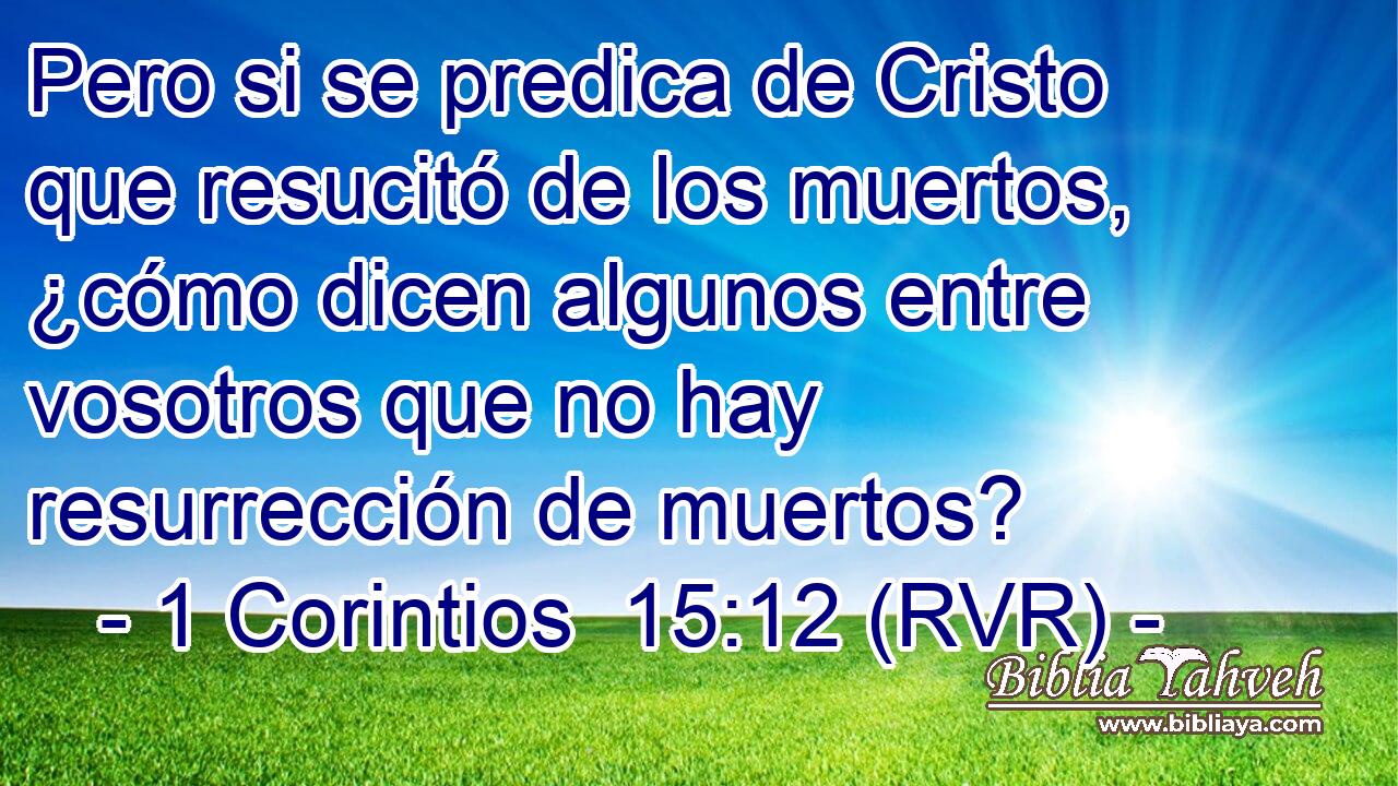 Pero si se predica de Cristo que resucitó de los muertos, ¿cómo dicen algunos entre vosotros que no hay resurrección de muertos?