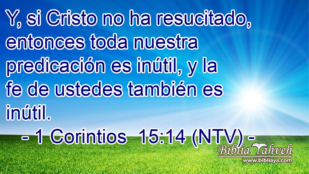 Y, si Cristo no ha resucitado, entonces toda nuestra predicación es inútil, y la fe de ustedes también es inútil.