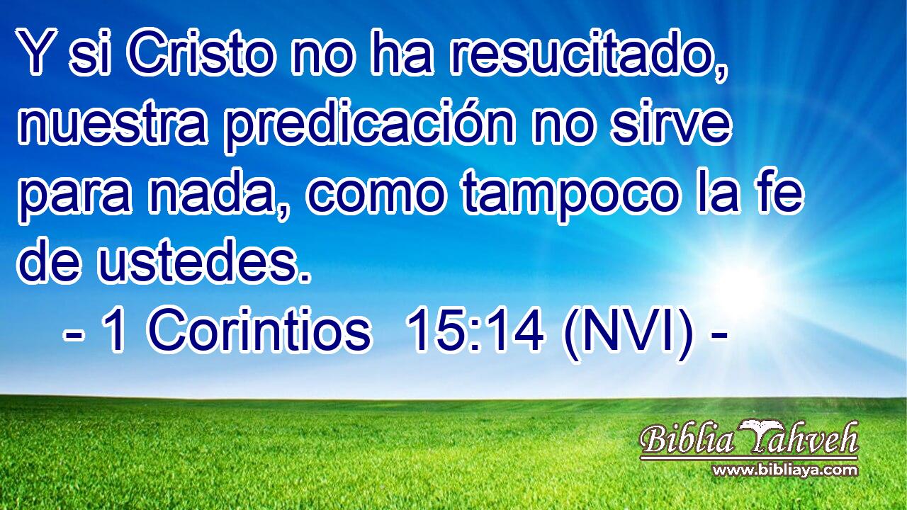  Y si Cristo no ha resucitado, nuestra predicación no sirve para nada, como tampoco la fe de ustedes. 