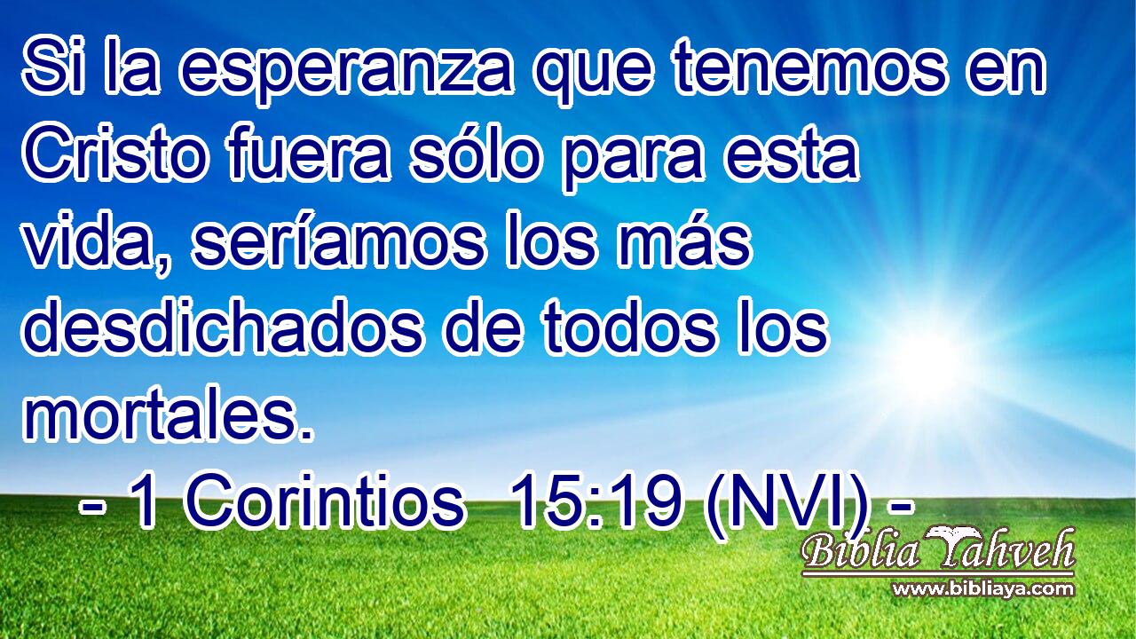  Si la esperanza que tenemos en Cristo fuera sólo para esta vida, seríamos los más desdichados de todos los mortales. 
