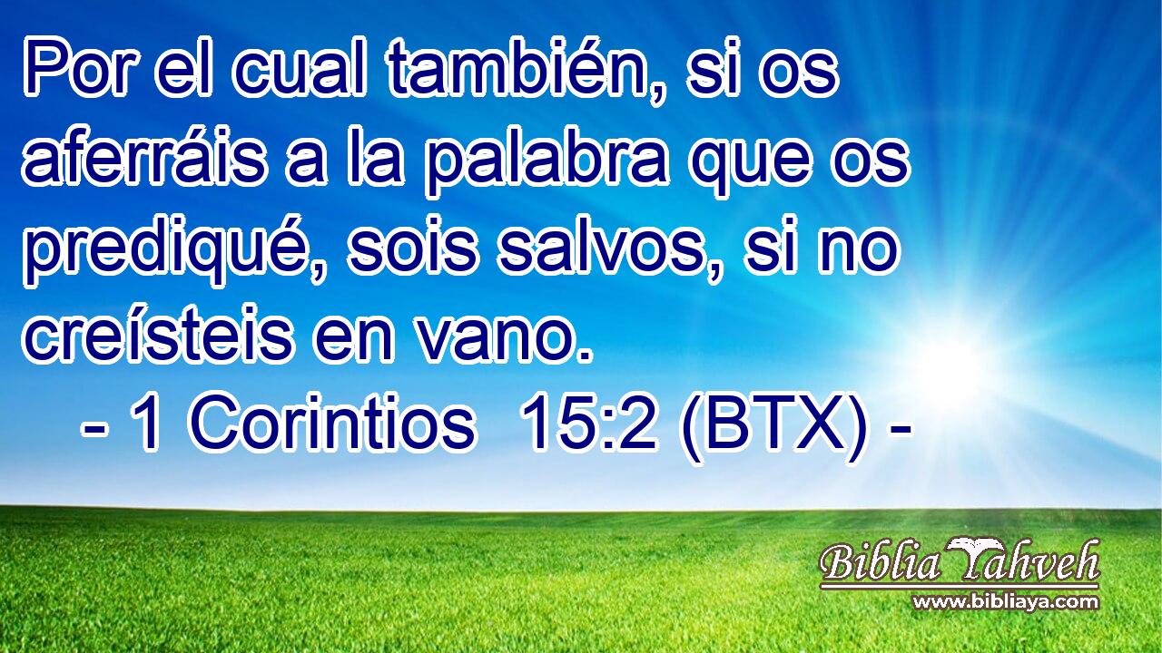 Por el cual también, si os aferráis a la palabra que os prediqué, sois salvos, si no creísteis en vano.