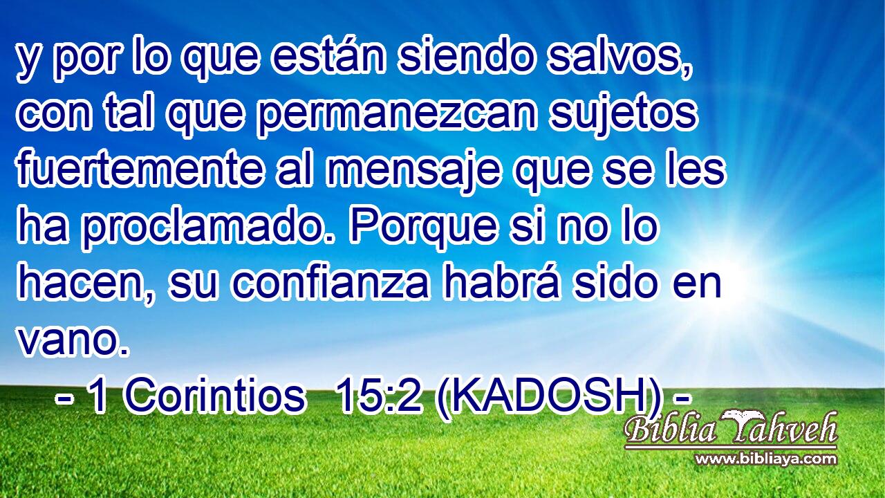  y por lo que están siendo salvos, con tal que permanezcan sujetos fuertemente al mensaje que se les ha proclamado. Porque si no lo hacen, su confianza habrá sido en vano. 