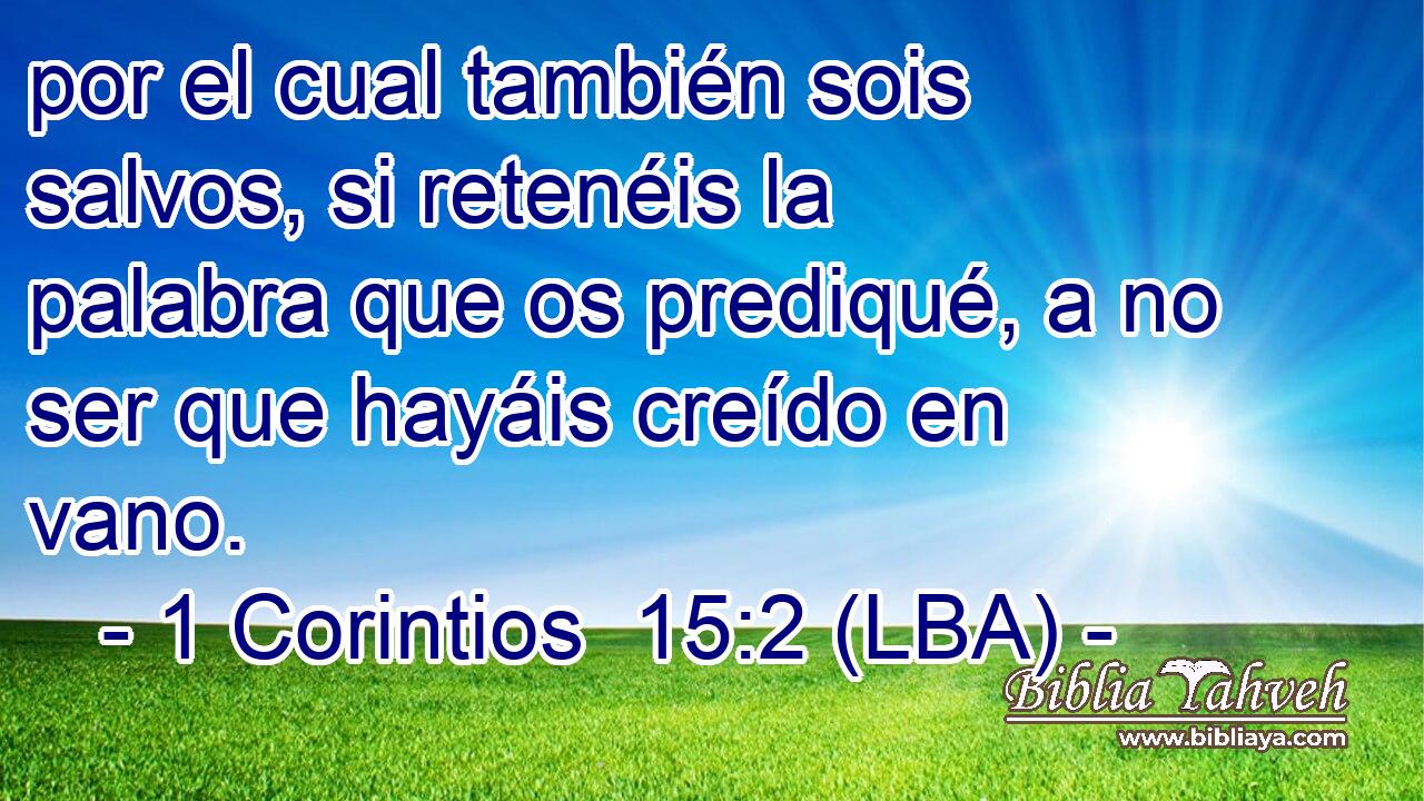 por el cual también sois salvos, si retenéis la palabra que os prediqué, a no ser que hayáis creído en vano.