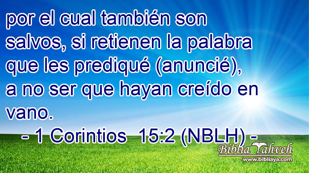  por el cual también son salvos, si retienen la palabra que les prediqué (anuncié), a no ser que hayan creído en vano. 