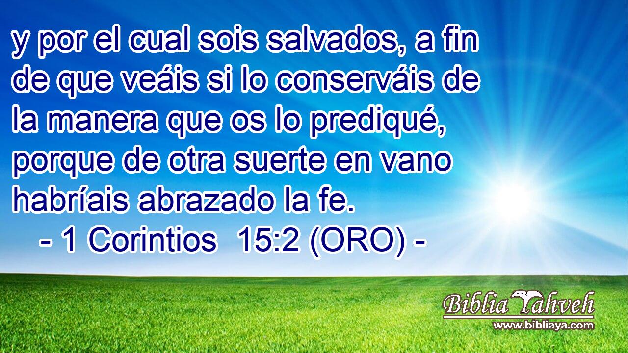  y por el cual sois salvados, a fin de que veáis si lo conserváis de la manera que os lo prediqué, porque de otra suerte en vano habríais abrazado la fe. 