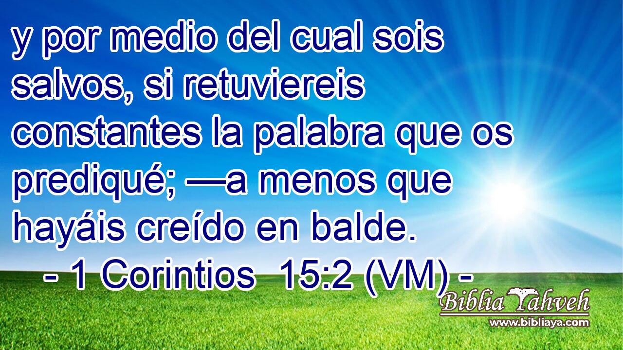  y por medio del cual sois salvos, si retuviereis constantes la palabra que os prediqué; —a menos que hayáis creído en balde. 