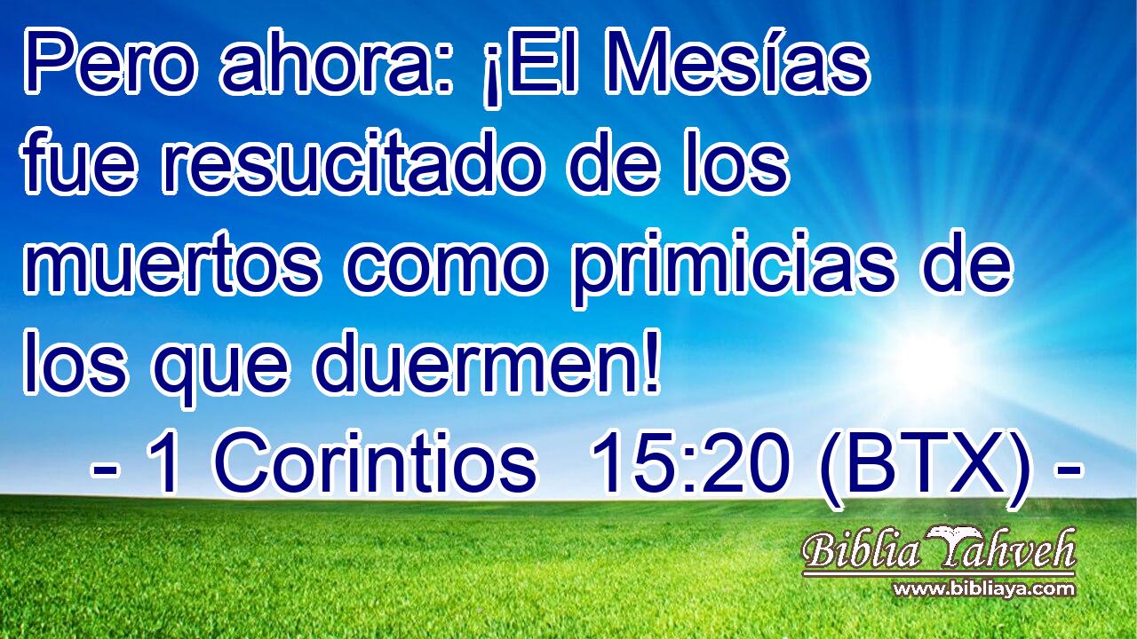 Pero ahora: ¡El Mesías fue resucitado de los muertos como primicias de los que duermen!