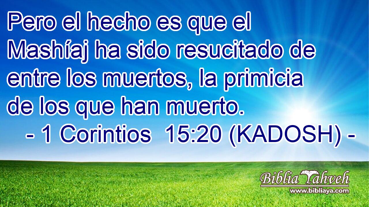  Pero el hecho es que el Mashíaj ha sido resucitado de entre los muertos, la primicia de los que han muerto. 