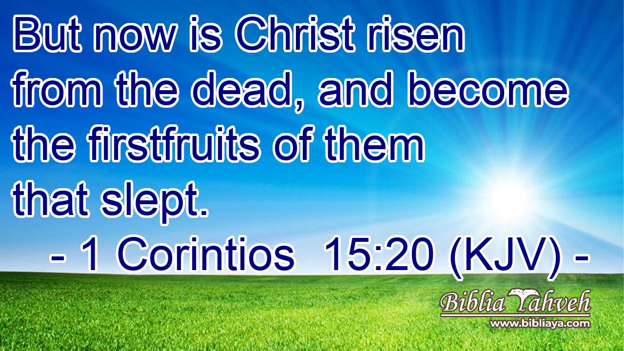 But now is Christ risen from the dead, and become the firstfruits of them that slept.