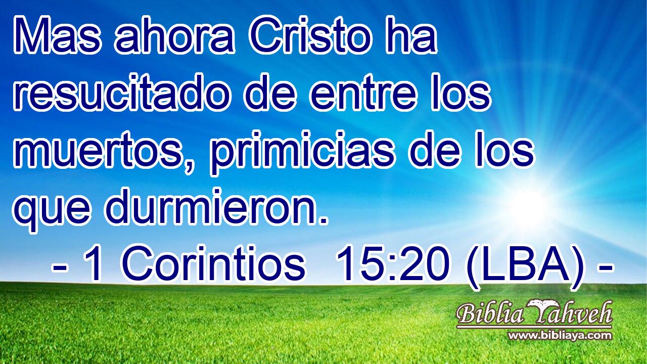Mas ahora Cristo ha resucitado de entre los muertos, primicias de los que durmieron.