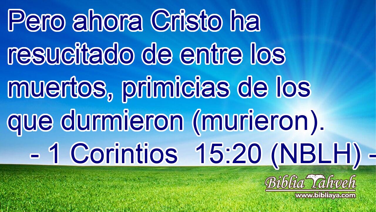  Pero ahora Cristo ha resucitado de entre los muertos, primicias de los que durmieron (murieron). 