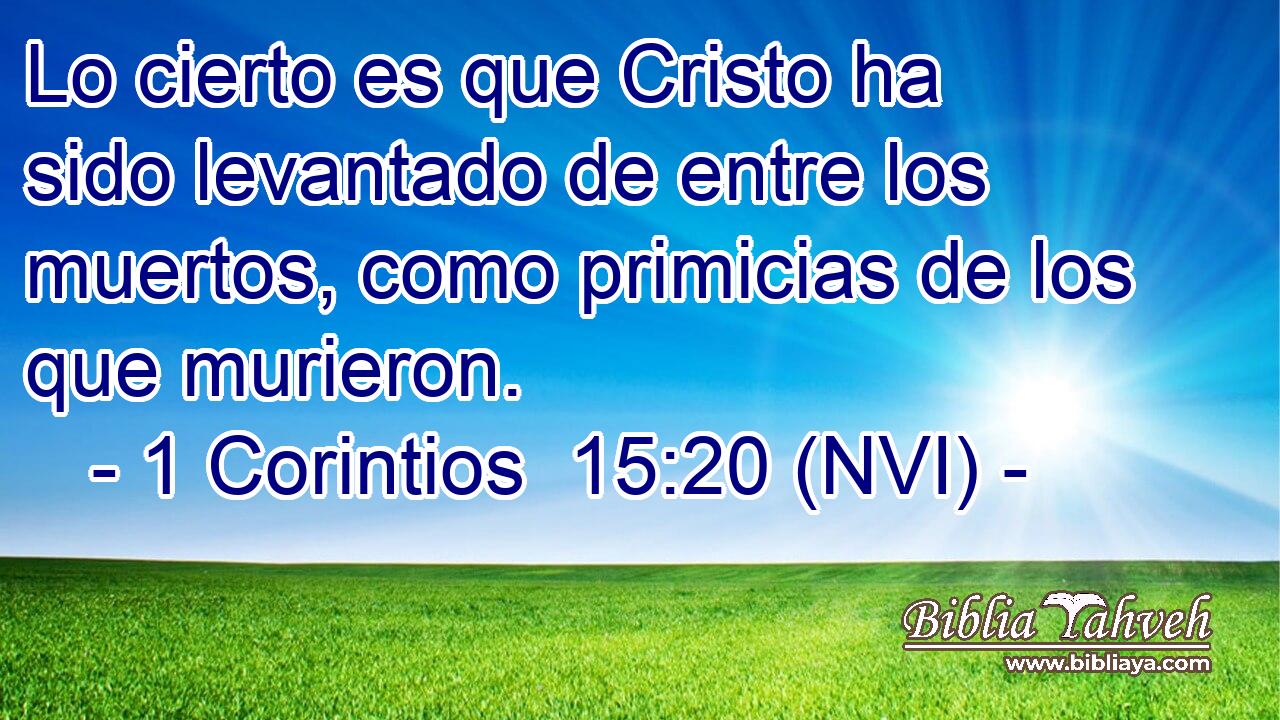  Lo cierto es que Cristo ha sido levantado de entre los muertos, como primicias de los que murieron. 
