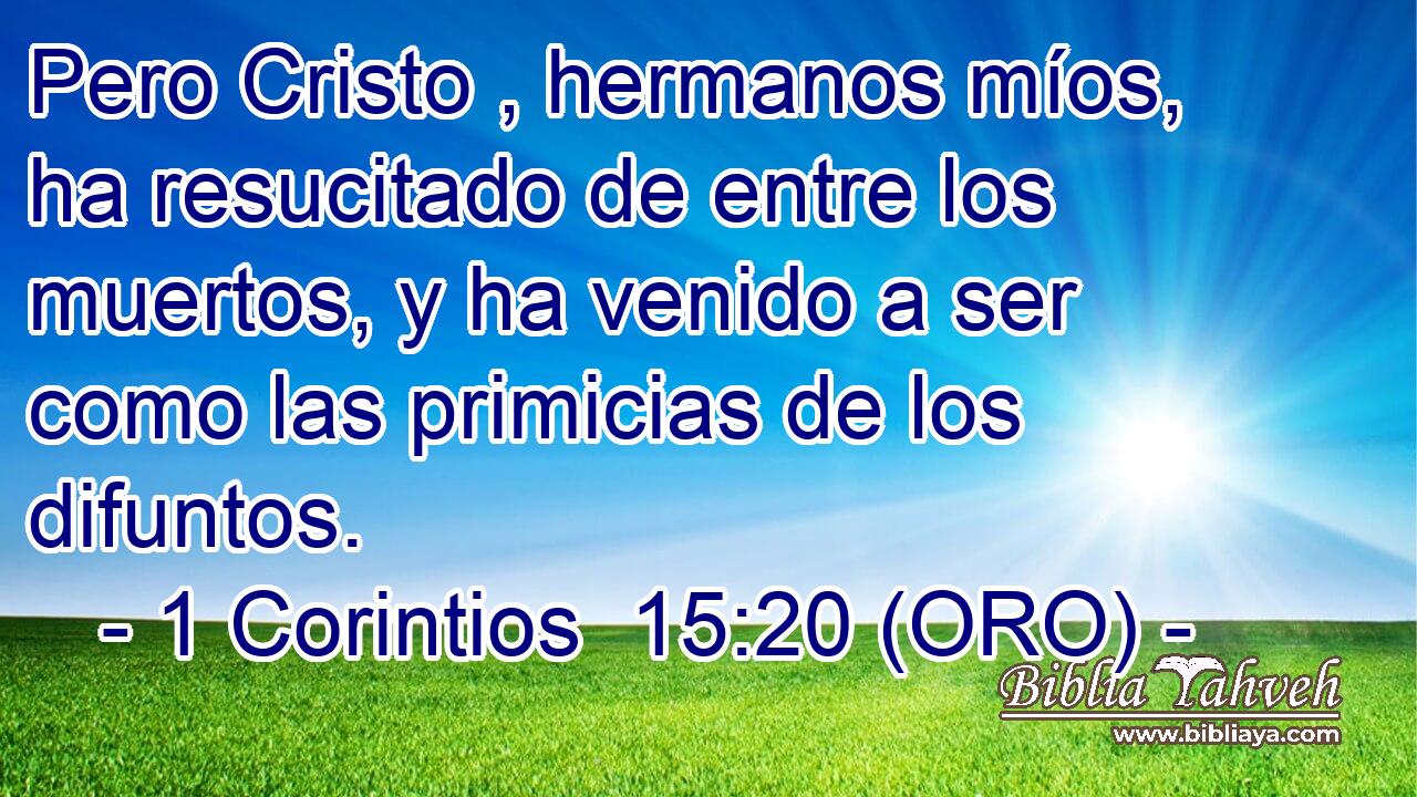  Pero Cristo , hermanos míos, ha resucitado de entre los muertos, y ha venido a ser como las primicias de los difuntos. 