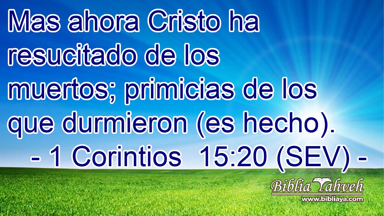Mas ahora Cristo ha resucitado de los muertos; primicias de los que durmieron (es hecho).