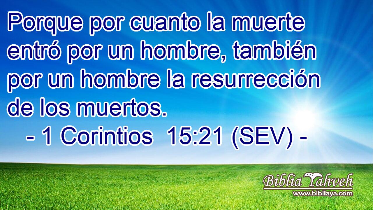 Porque por cuanto la muerte entró por un hombre, también por un hombre la resurrección de los muertos.