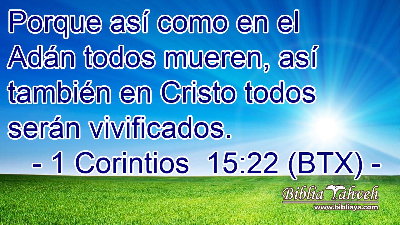 Porque así como en el Adán todos mueren, así también en Cristo todos serán vivificados.
