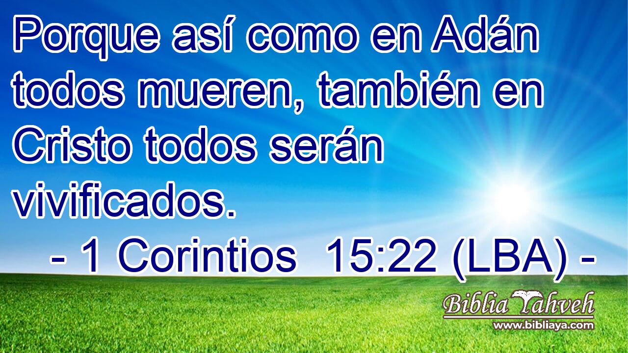 Porque así como en Adán todos mueren, también en Cristo todos serán vivificados.