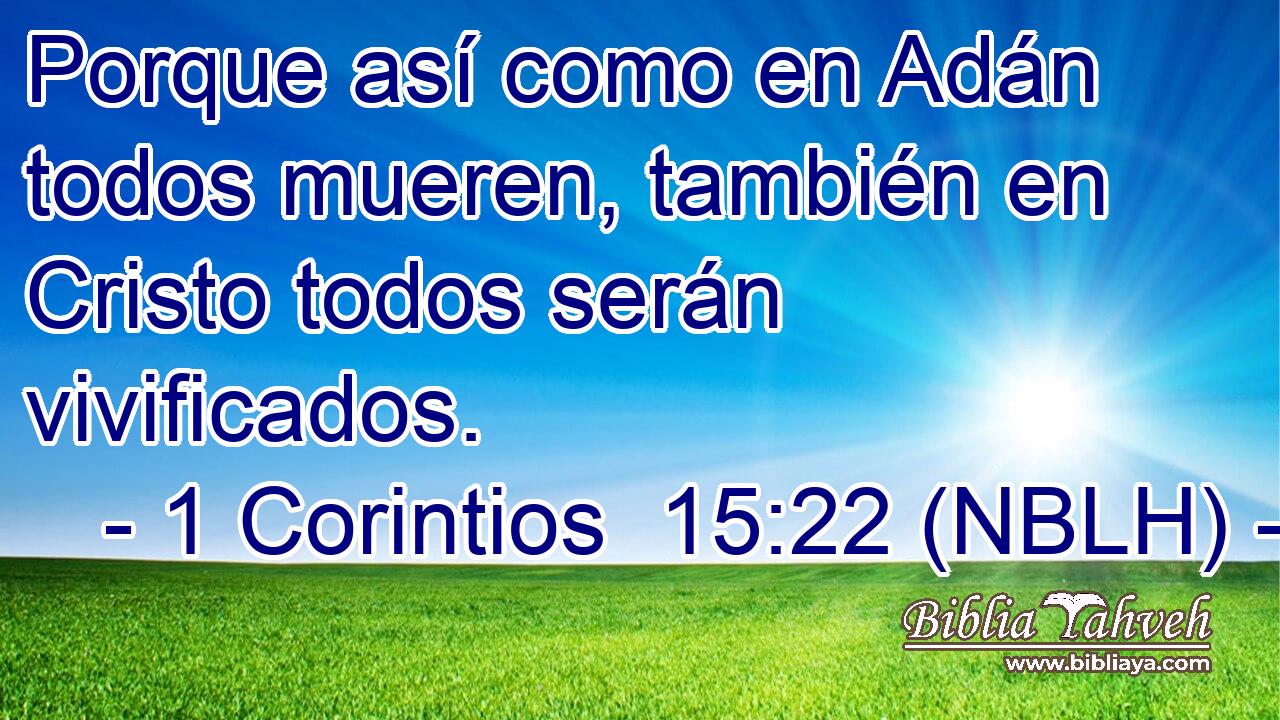  Porque así como en Adán todos mueren, también en Cristo todos serán vivificados. 