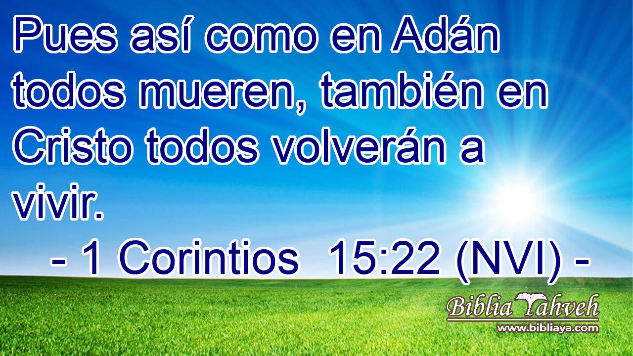  Pues así como en Adán todos mueren, también en Cristo todos volverán a vivir. 