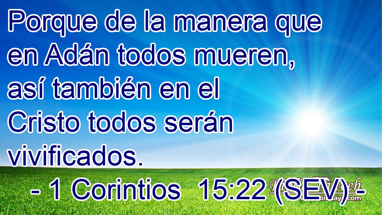 Porque de la manera que en Adán todos mueren, así también en el Cristo todos serán vivificados.