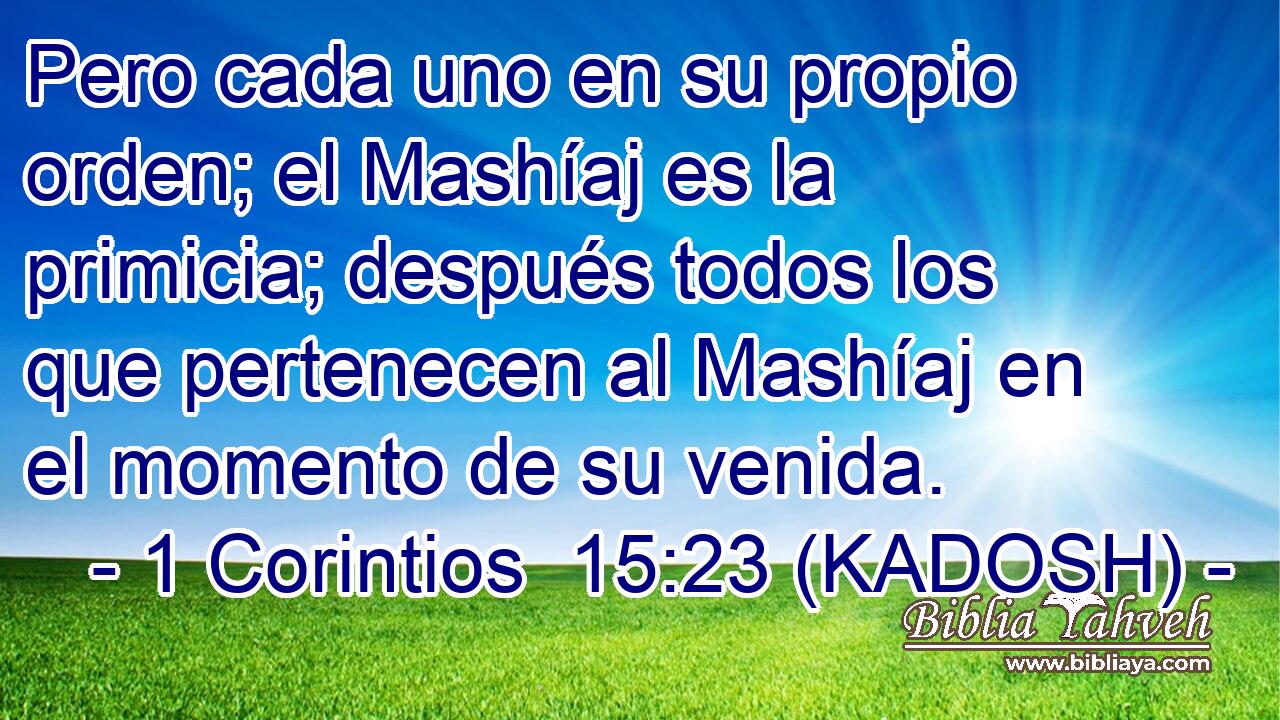  Pero cada uno en su propio orden; el Mashíaj es la primicia; después todos los que pertenecen al Mashíaj en el momento de su venida. 