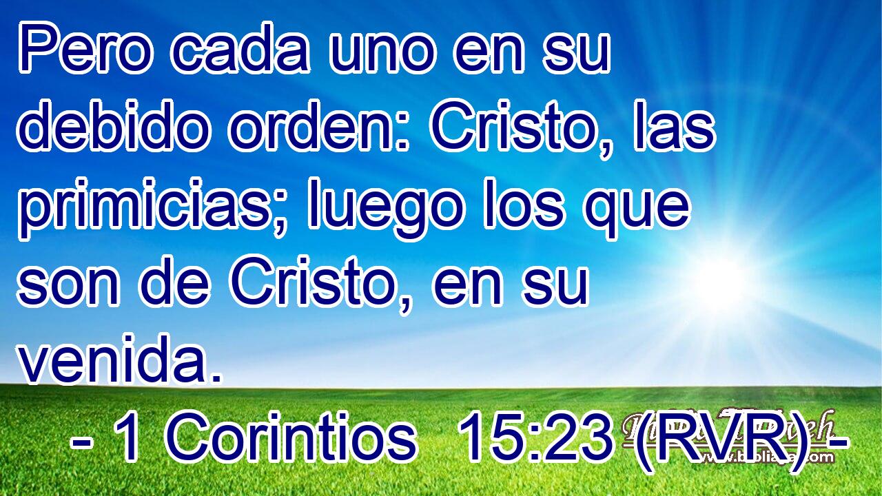 Pero cada uno en su debido orden: Cristo, las primicias; luego los que son de Cristo, en su venida.