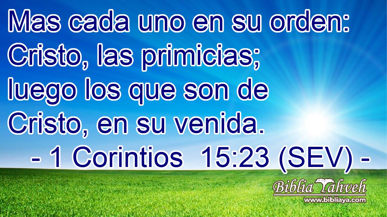 Mas cada uno en su orden: Cristo, las primicias; luego los que son de Cristo, en su venida.