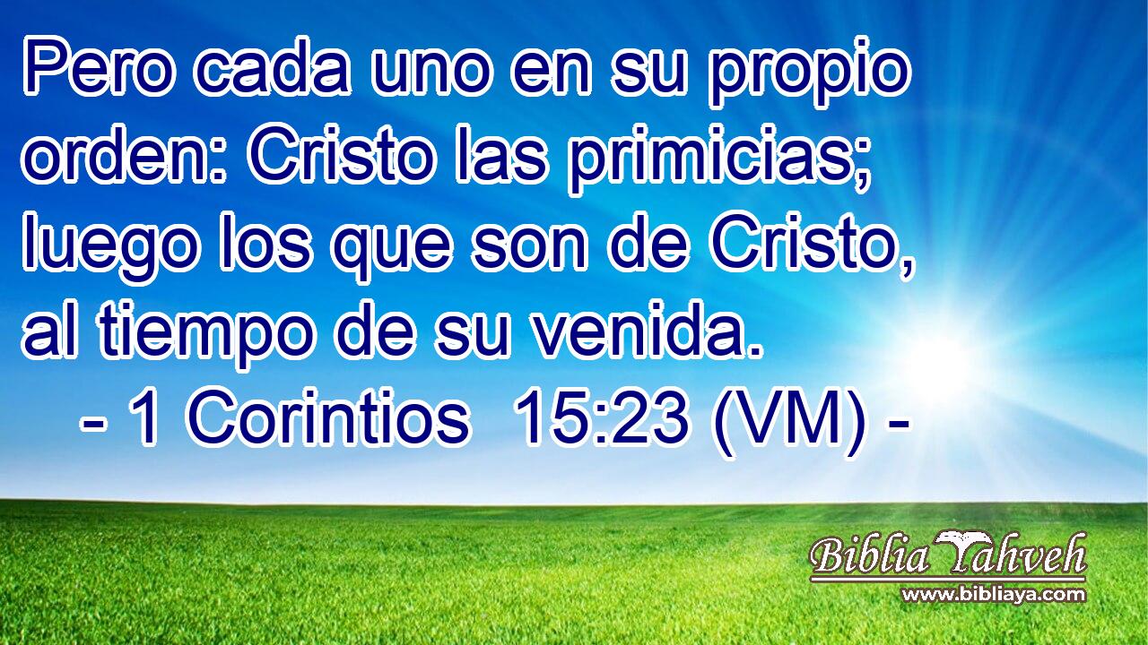  Pero cada uno en su propio orden: Cristo las primicias; luego los que son de Cristo, al tiempo de su venida. 