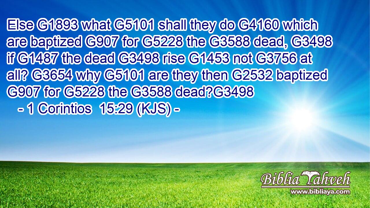 Else G1893 what G5101 shall they do G4160 which are baptized G907 for G5228 the G3588 dead, G3498 if G1487 the dead G3498 rise G1453 not G3756 at all? G3654 why G5101 are they then G2532 baptized G907 for G5228 the G3588 dead?G3498