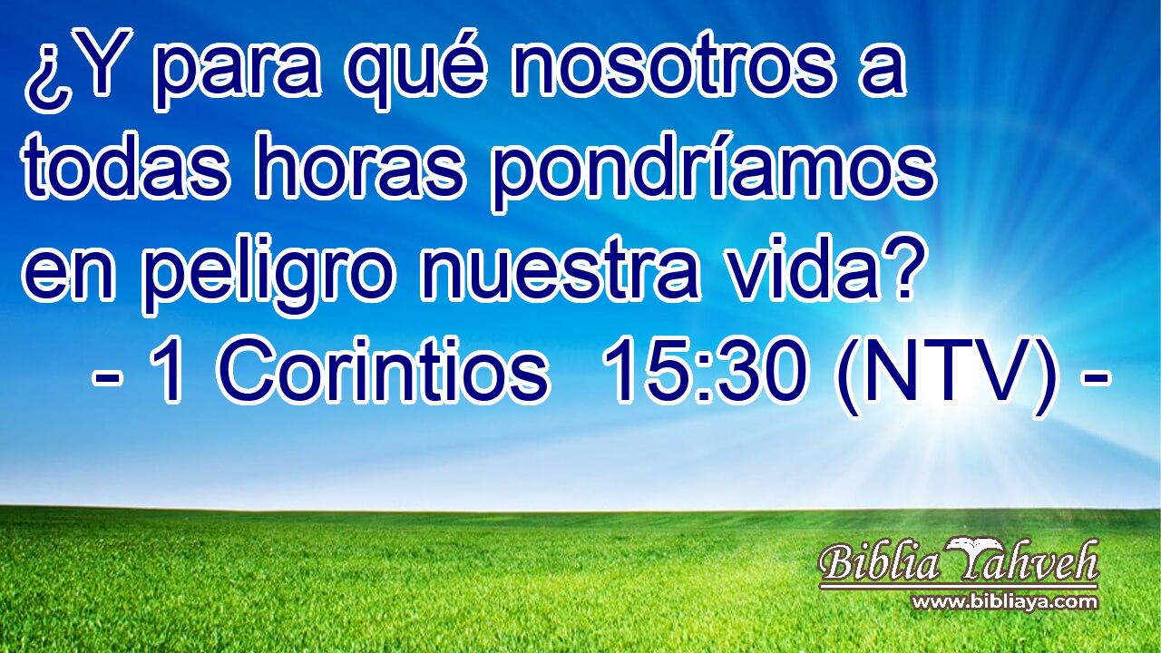 ¿Y para qué nosotros a todas horas pondríamos en peligro nuestra vida?