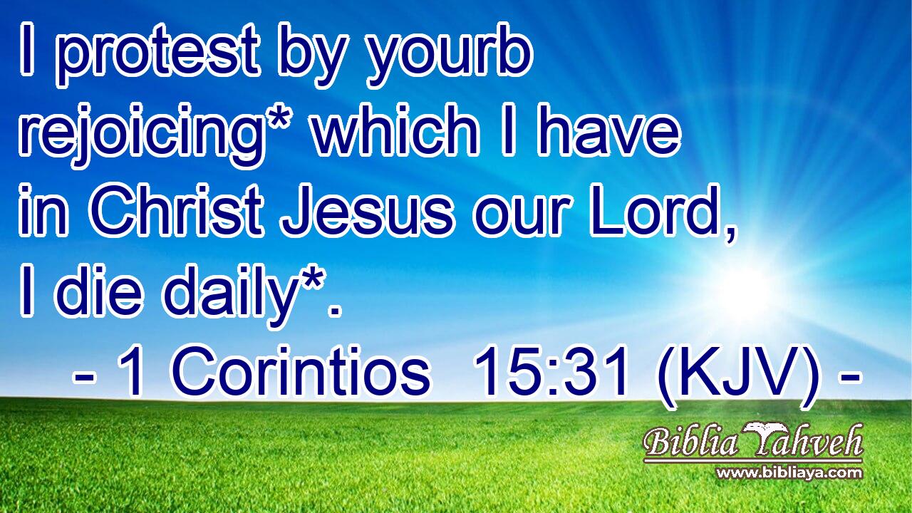 I protest by yourb rejoicing* which I have in Christ Jesus our Lord, I die daily*.