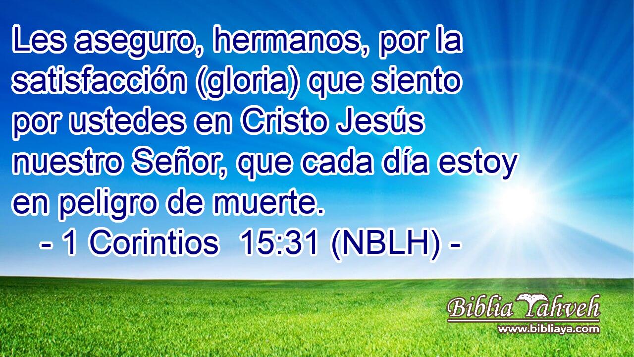  Les aseguro, hermanos, por la satisfacción (gloria) que siento por ustedes en Cristo Jesús nuestro Señor, que cada día estoy en peligro de muerte. 