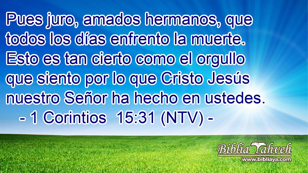 Pues juro, amados hermanos, que todos los días enfrento la muerte. Esto es tan cierto como el orgullo que siento por lo que Cristo Jesús nuestro Señor ha hecho en ustedes.