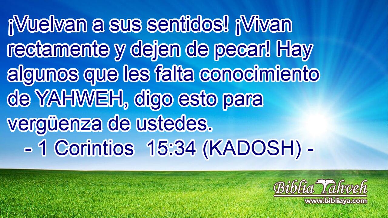  ¡Vuelvan a sus sentidos! ¡Vivan rectamente y dejen de pecar! Hay algunos que les falta conocimiento de YAHWEH, digo esto para vergüenza de ustedes. 