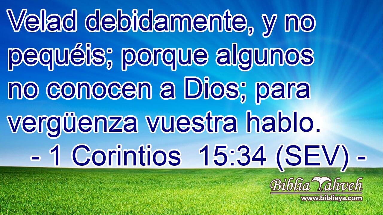 Velad debidamente, y no pequéis; porque algunos no conocen a Dios; para vergüenza vuestra hablo.