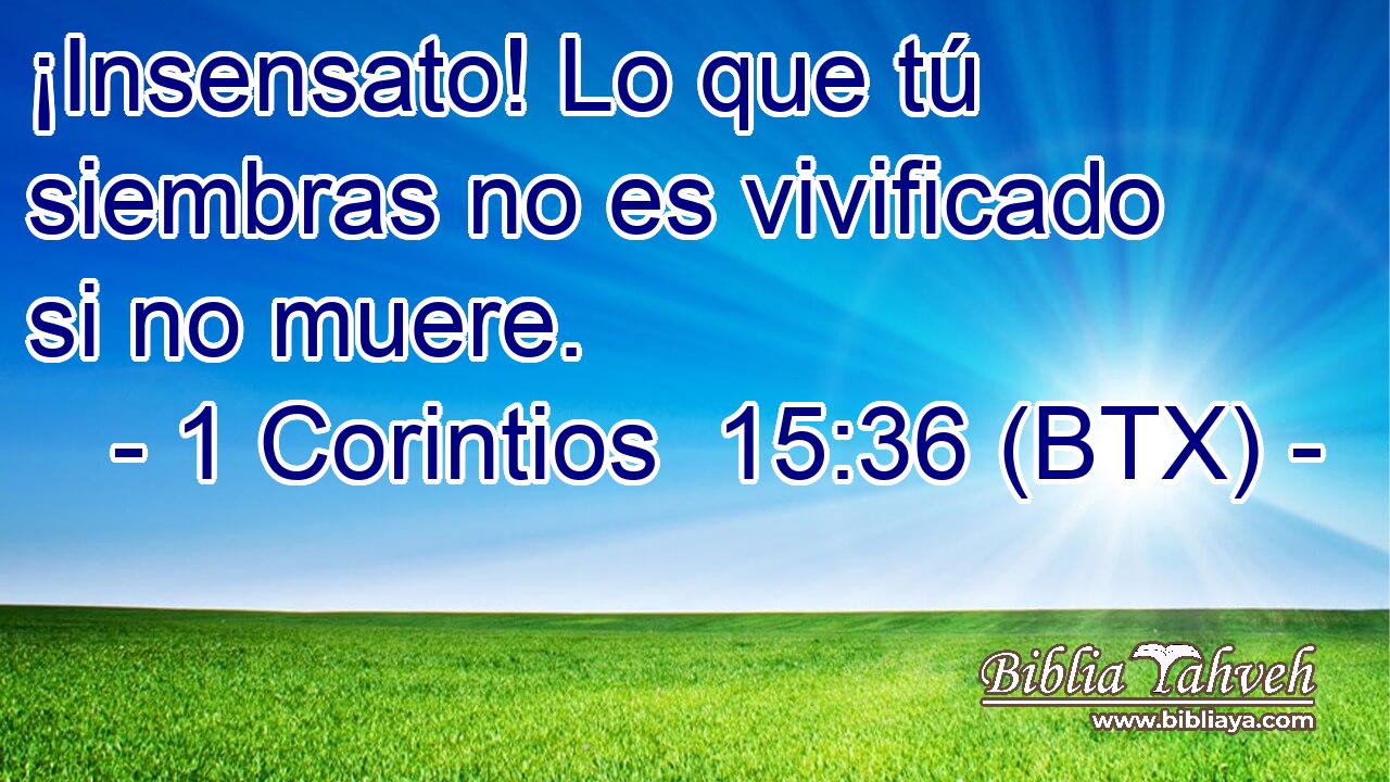 ¡Insensato! Lo que tú siembras no es vivificado si no muere.